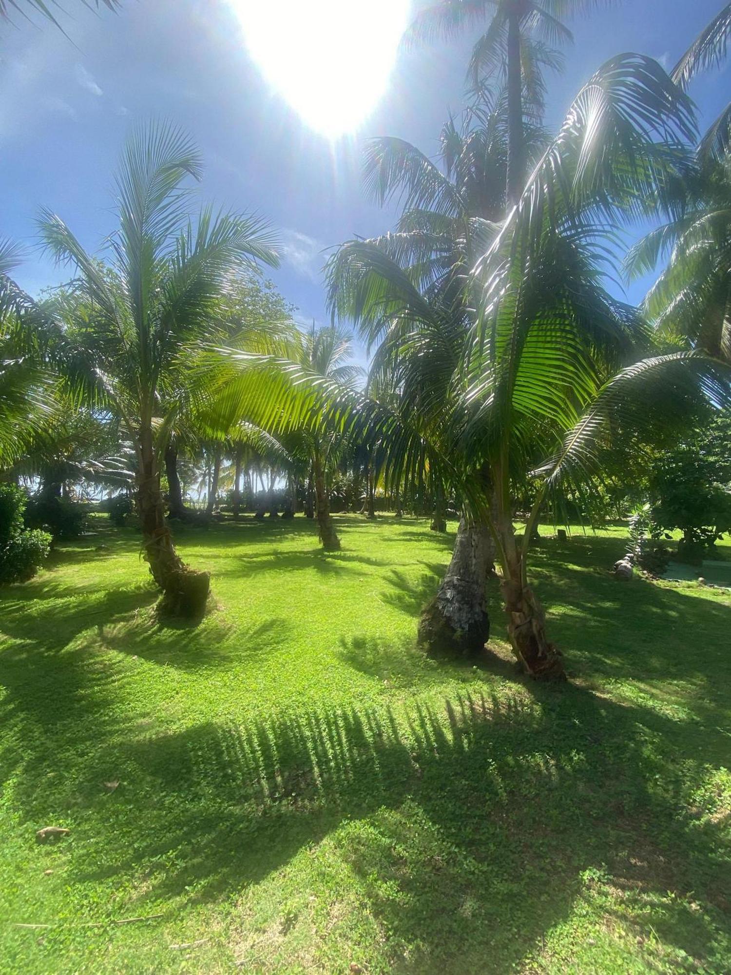 South End Villas - Apartamentos Paradisiaco En El Caribe Colombiano San Andrés Kültér fotó